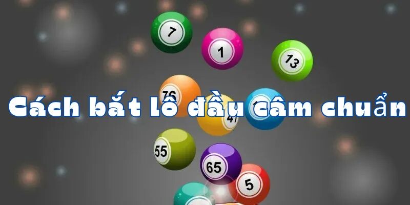 Các cách bắt lô đầu câm chuẩn