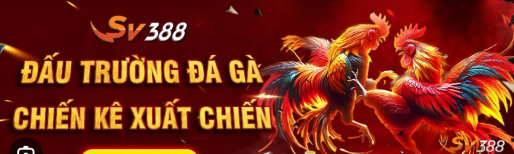 Đá gà SV388 từ lâu đã trở thành lựa chọn số 1 của anh em yêu thích