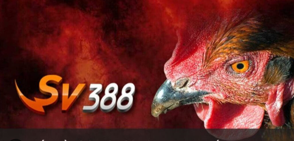 Tham gia đá gà SV388, anh em sẽ luôn được đảm bảo về trải nghiệm của bản thân